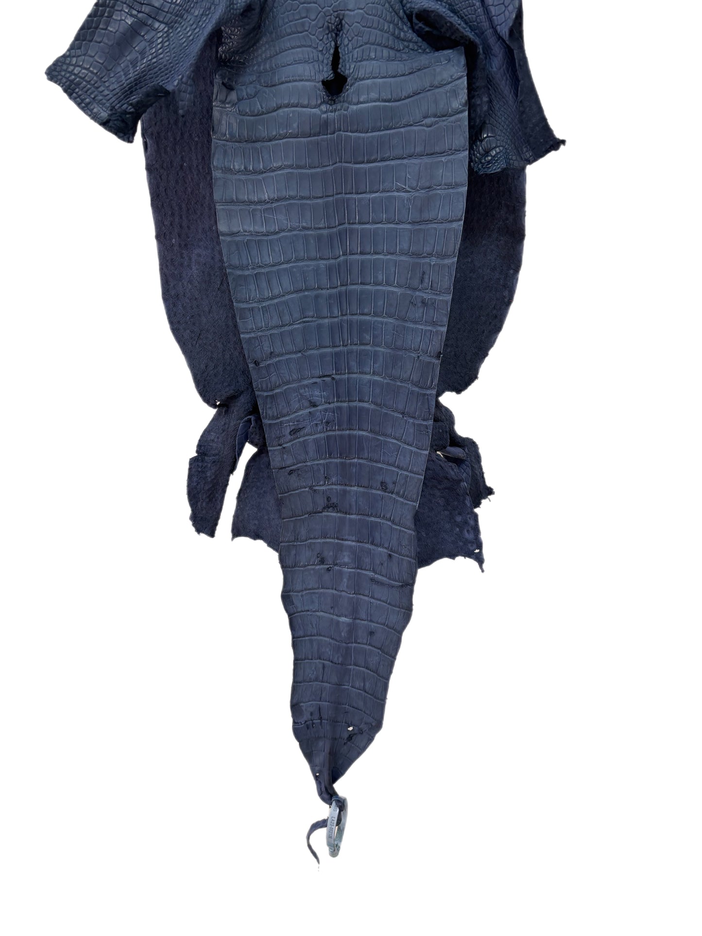 36 cm Grade 3/4 Indigo Matte Wild American Alligator Leather - Tag: LA23-0002136