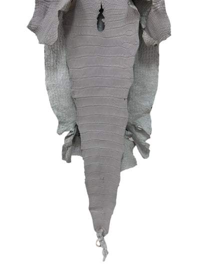 41 cm Grade 2/3 Glacier Matte Wild American Alligator Leather - Tag: LA23-0029496