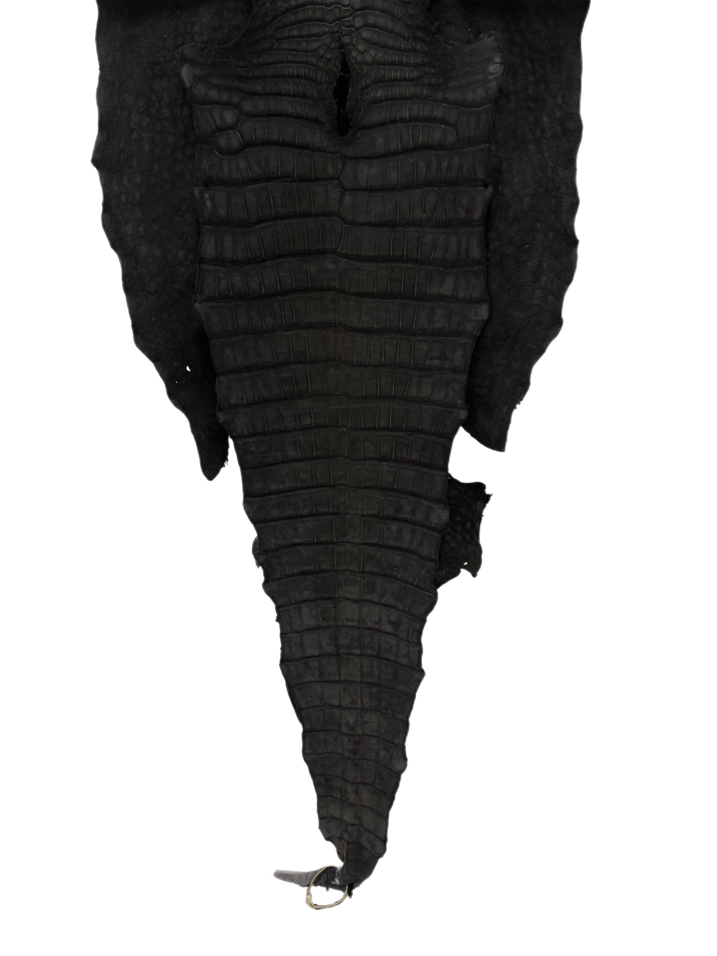 49 cm Grade 2/3 Black Nubuck Wild American Alligator Leather - Tag: LA23-0021889