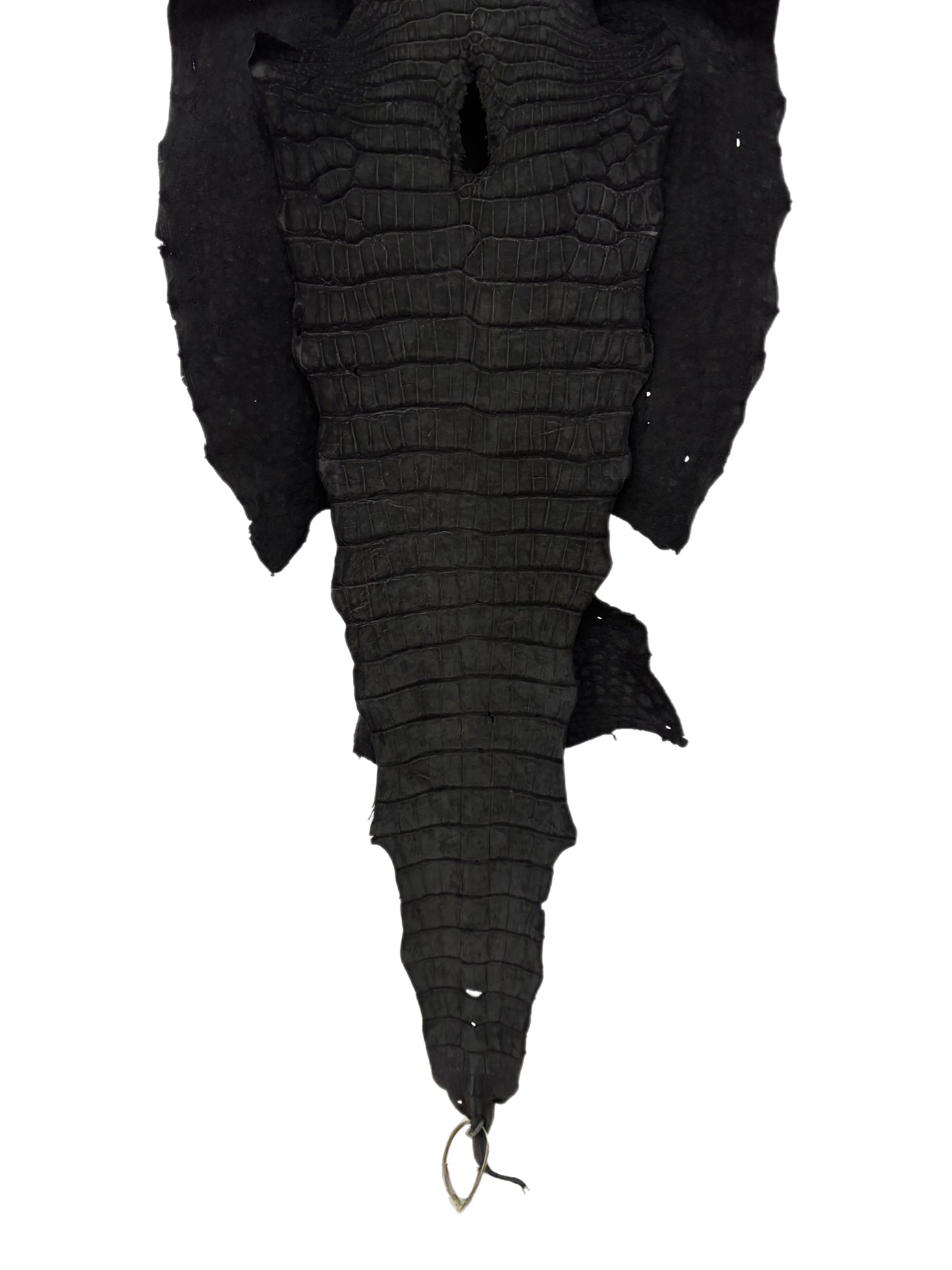 47 cm Grade 3/4 Black Nubuck Wild American Alligator Leather - Tag: LA23-0013890