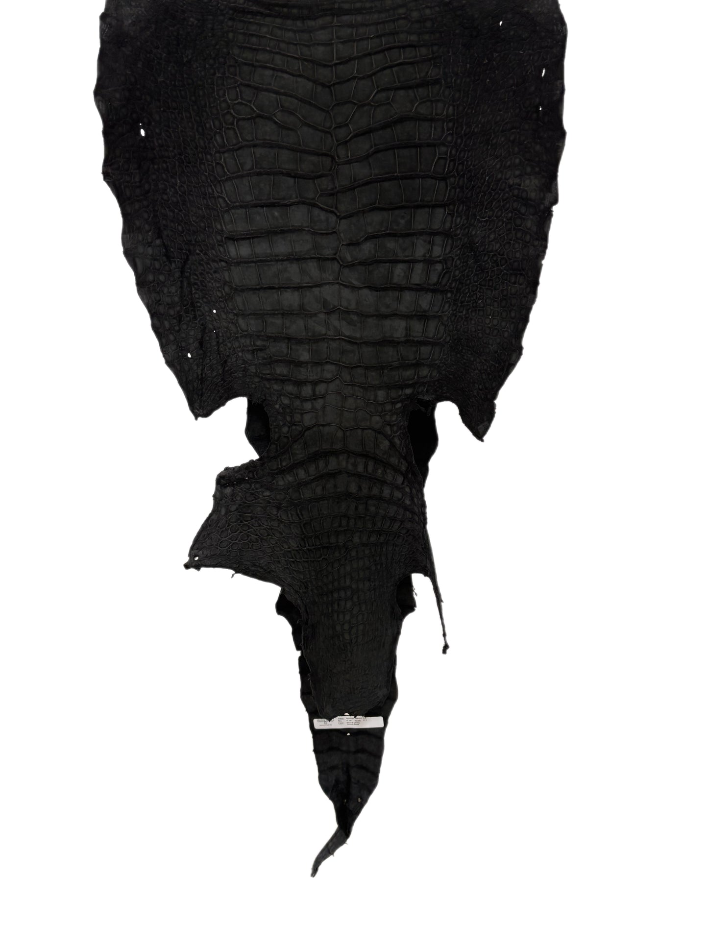 47 cm Grade 3/4 Black Nubuck Wild American Alligator Leather - Tag: LA23-0013890