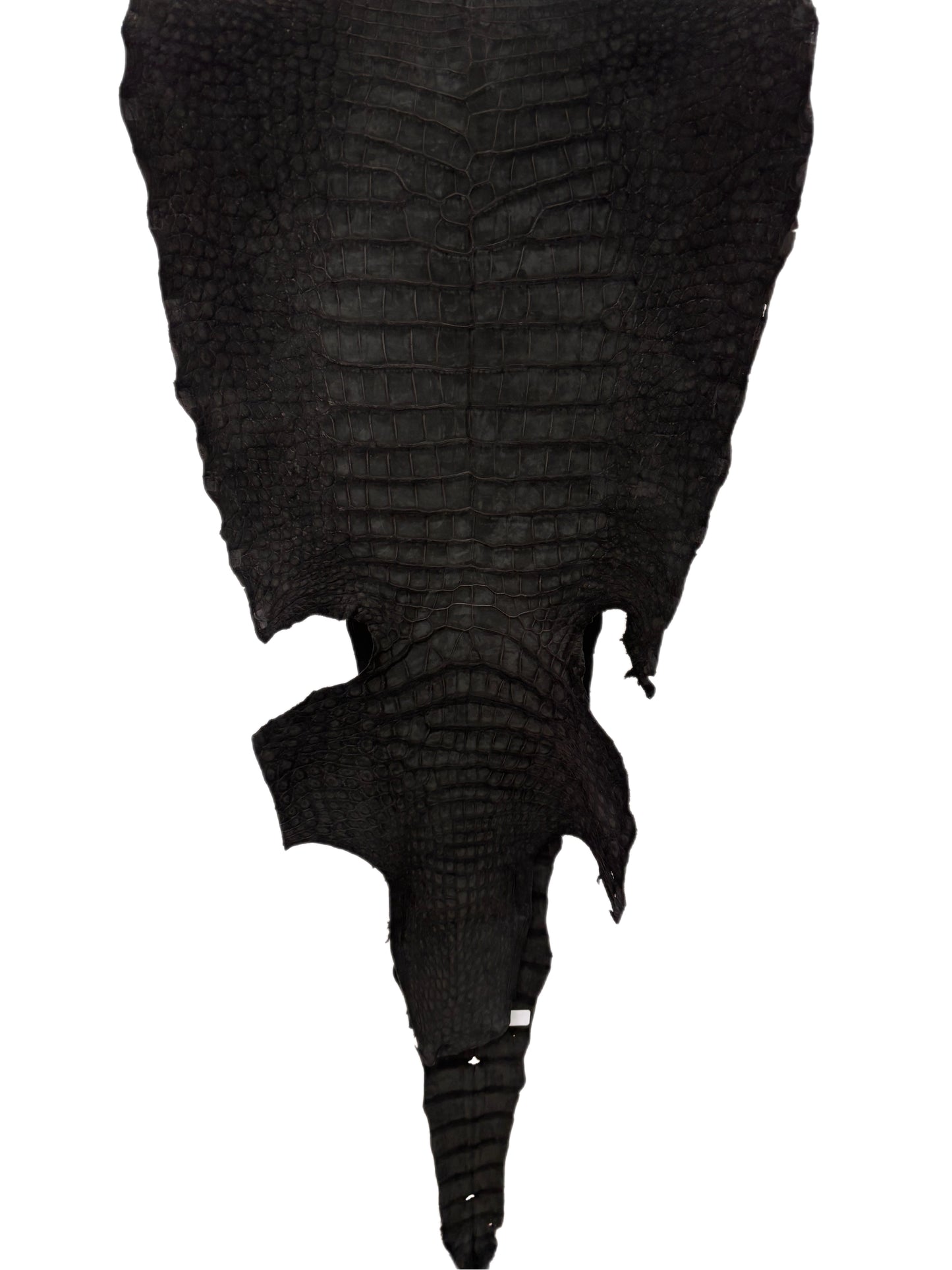 47 cm Grade 3/4 Black Nubuck Wild American Alligator Leather - Tag: LA23-0003358