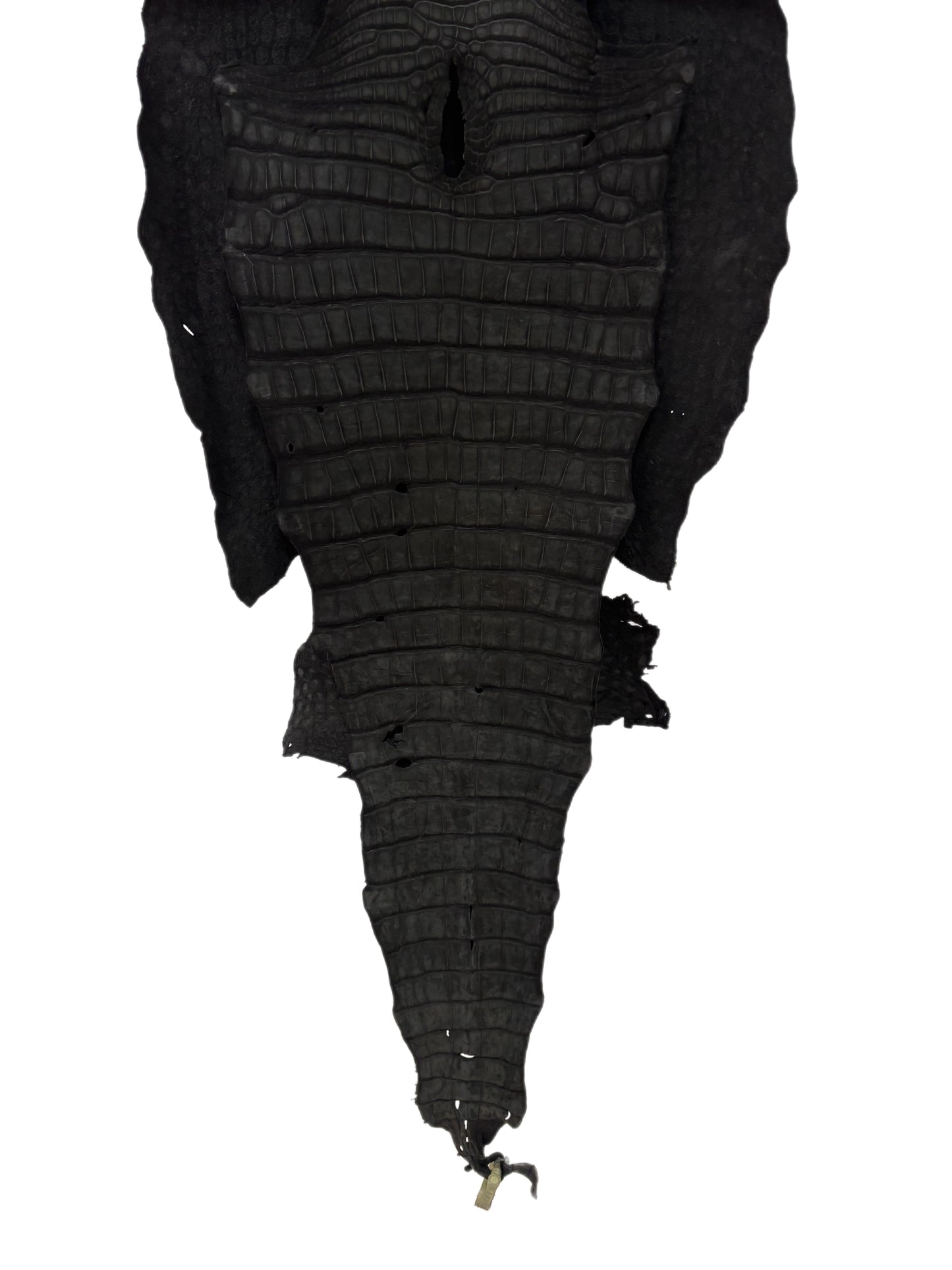 48 cm Grade 3/4 Black Nubuck Wild American Alligator Leather - Tag: LA23-0013464