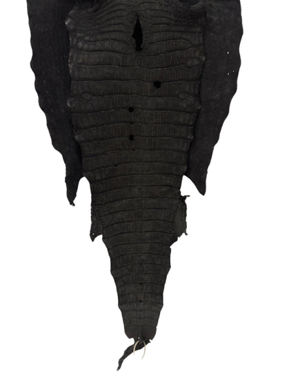 50 cm Grade 3/4 Black Nubuck Wild American Alligator Leather - Tag: LA23-0051900