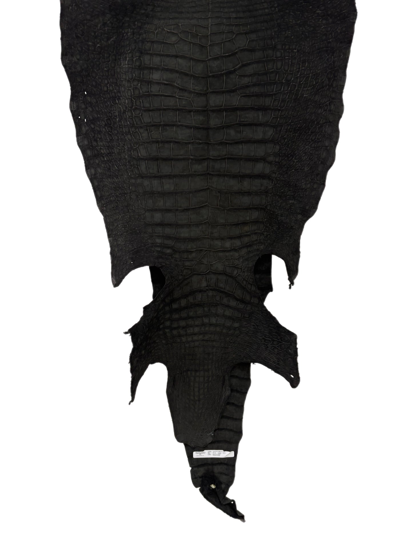 50 cm Grade 3/4 Black Nubuck Wild American Alligator Leather - Tag: LA23-0051900