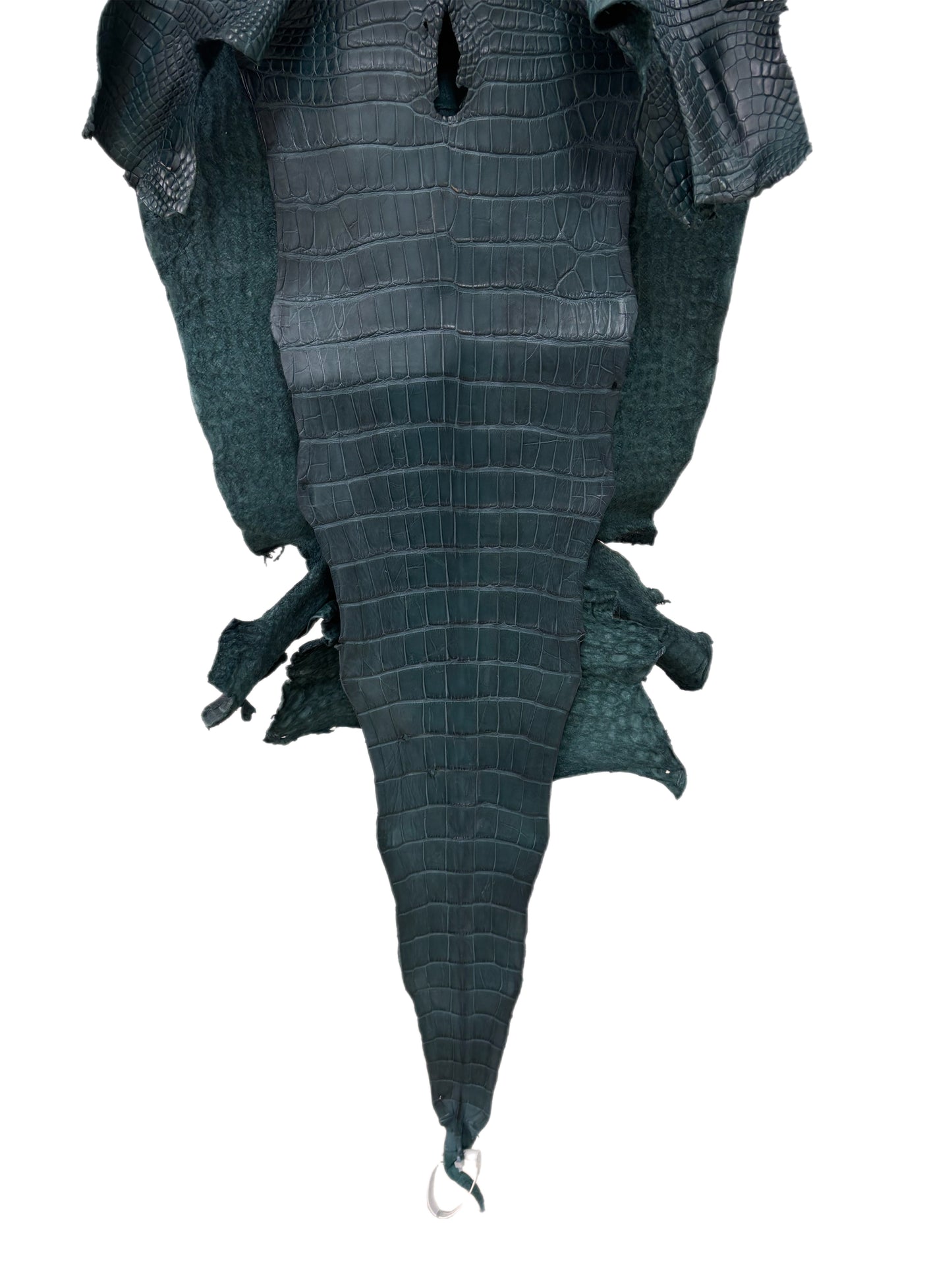 43 cm Grade 2/3 Teal Matte Wild American Alligator Leather - Tag: LA23-0048188