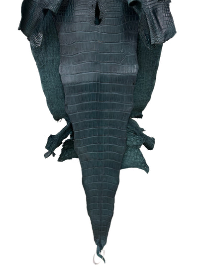 43 cm Grade 2/3 Teal Matte Wild American Alligator Leather - Tag: LA23-0048188