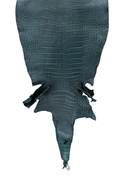 43 cm Grade 2/3 Teal Matte Wild American Alligator Leather - Tag: LA23-0048188
