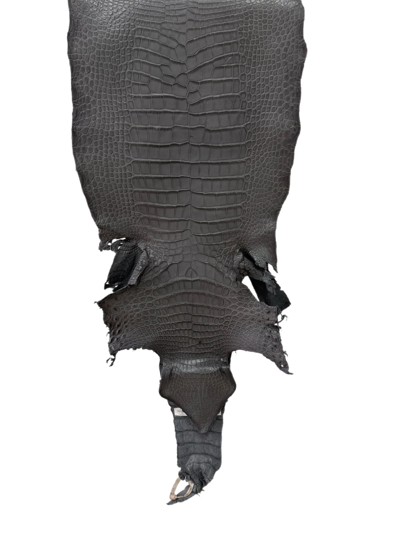 38 cm Grade 3/4 Serpentine Grey Matte Wild American Alligator Leather - Tag: TX23-0016406