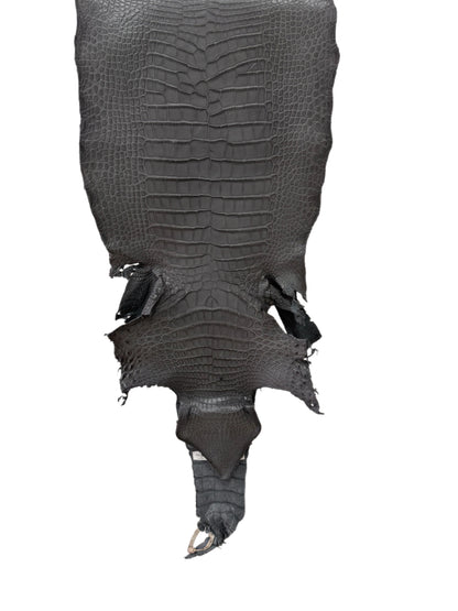 38 cm Grade 3/4 Serpentine Grey Matte Wild American Alligator Leather - Tag: TX23-0016406