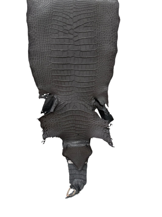 38 cm Grade 3/4 Serpentine Grey Matte Wild American Alligator Leather - Tag: TX23-0016406