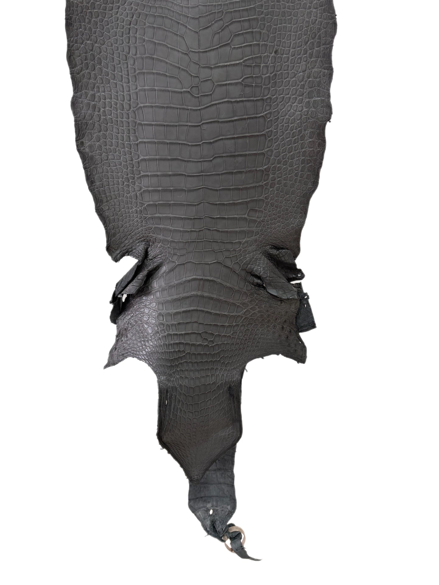 39 cm Grade 3/4 Serpentine Grey Matte Wild American Alligator Leather - Tag: TX23-0016553