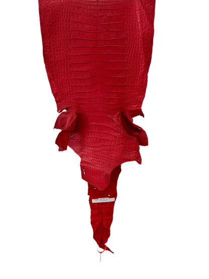 39 cm Grade 2/3 Candy Apple Red Matte Wild American Alligator Leather - Tag: LA24-0039963