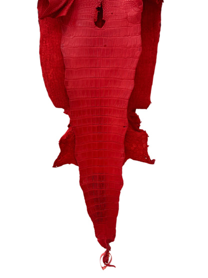 40 cm Grade 2/3 Candy Apple Red Matte Wild American Alligator Leather - Tag: FL24-0077535