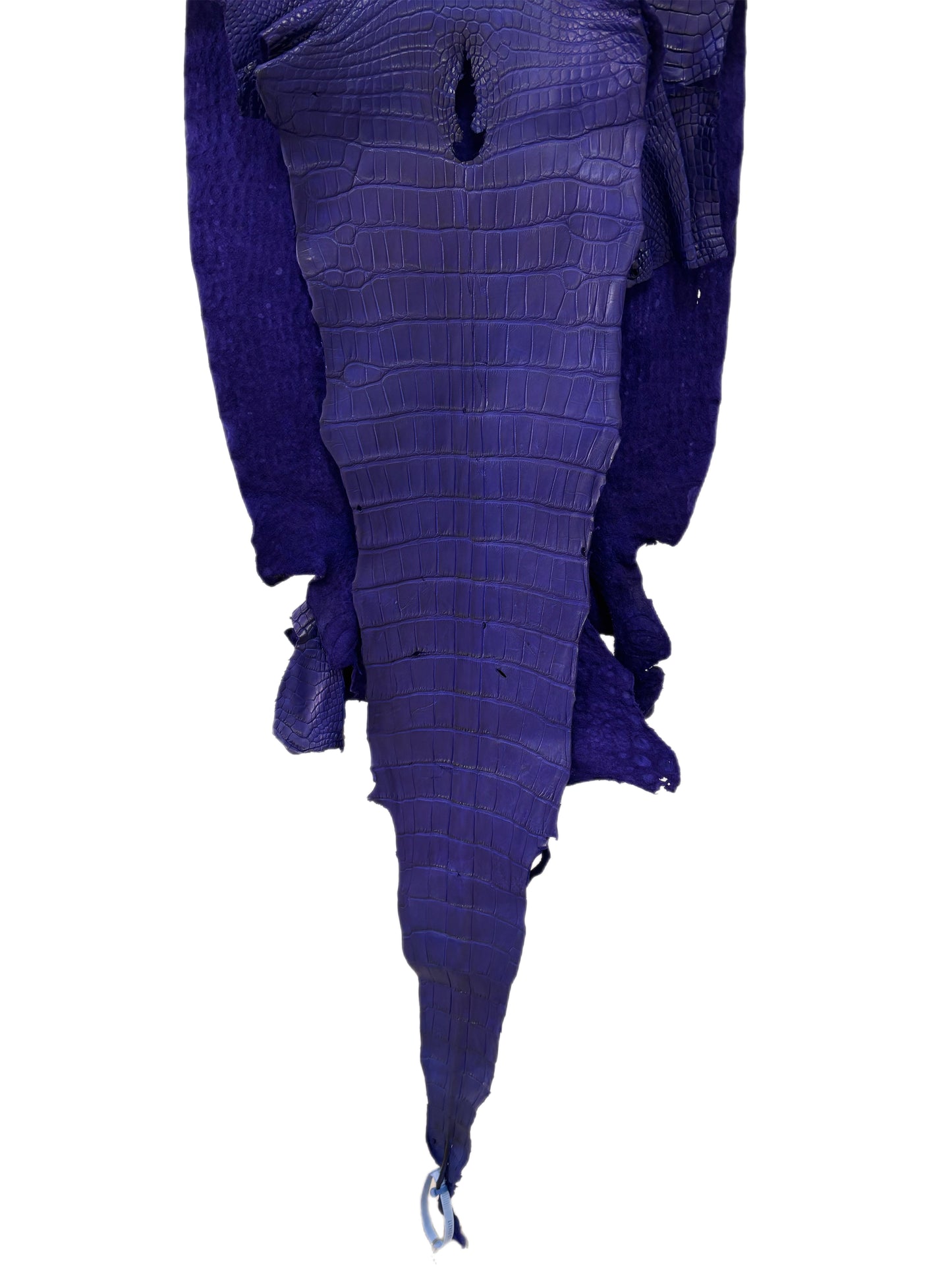 41 cm Grade 2/3 Cobalt Blue Matte Wild American Alligator Leather - Tag: LA23-0024217