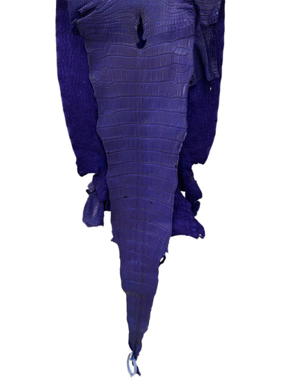41 cm Grade 2/3 Cobalt Blue Matte Wild American Alligator Leather - Tag: LA23-0024217