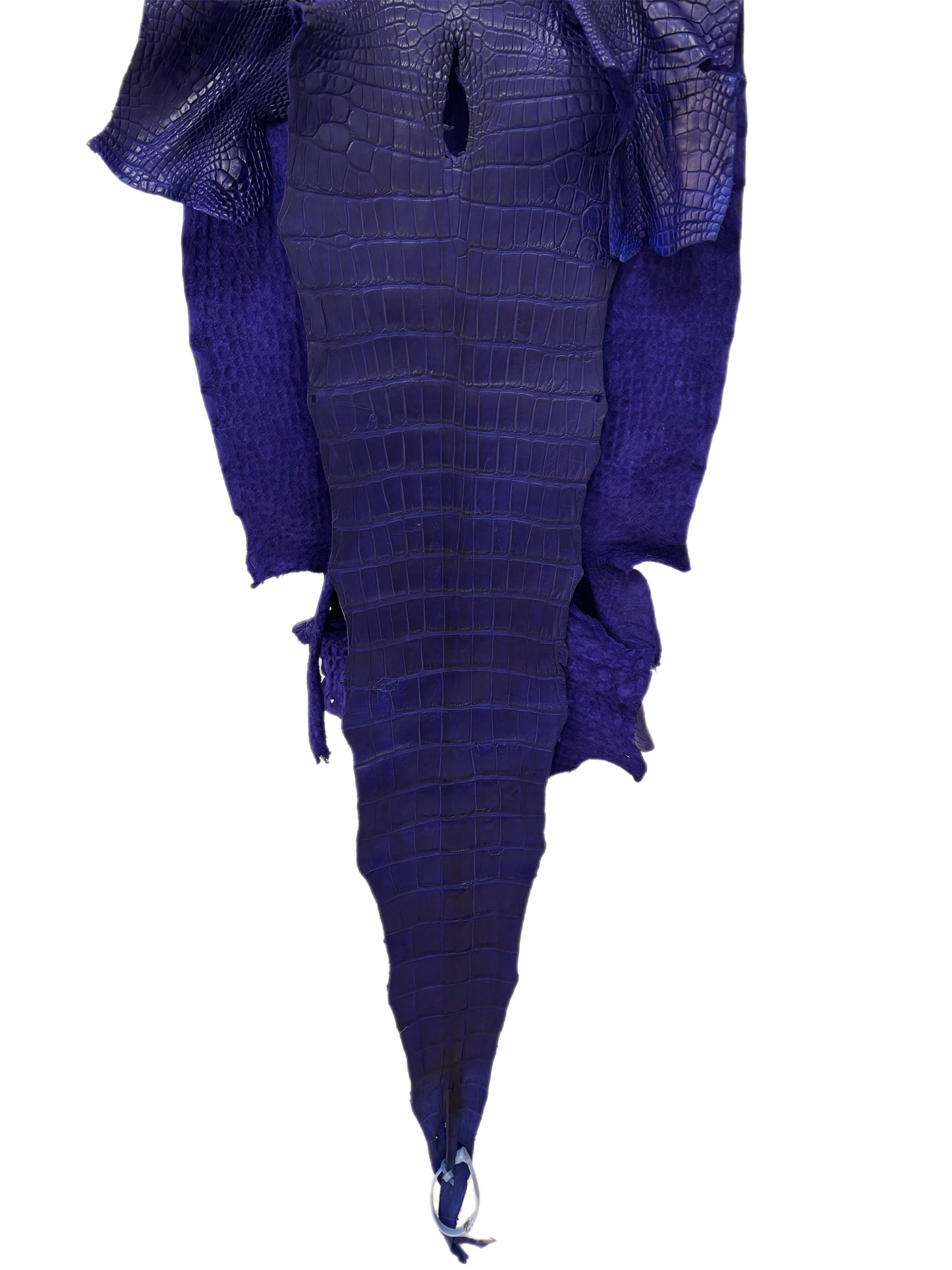 43 cm Grade 2/3 Cobalt Blue Matte Wild American Alligator Leather - Tag: LA23-0016343