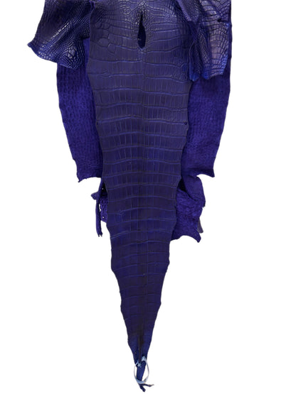 43 cm Grade 2/3 Cobalt Blue Matte Wild American Alligator Leather - Tag: LA23-0016343