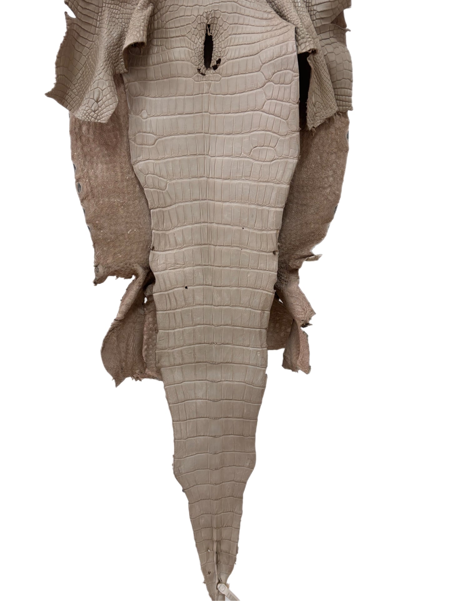 39 cm Grade 2/3 Stormy Matte Wild American Alligator Leather - Tag: LA23-0006597