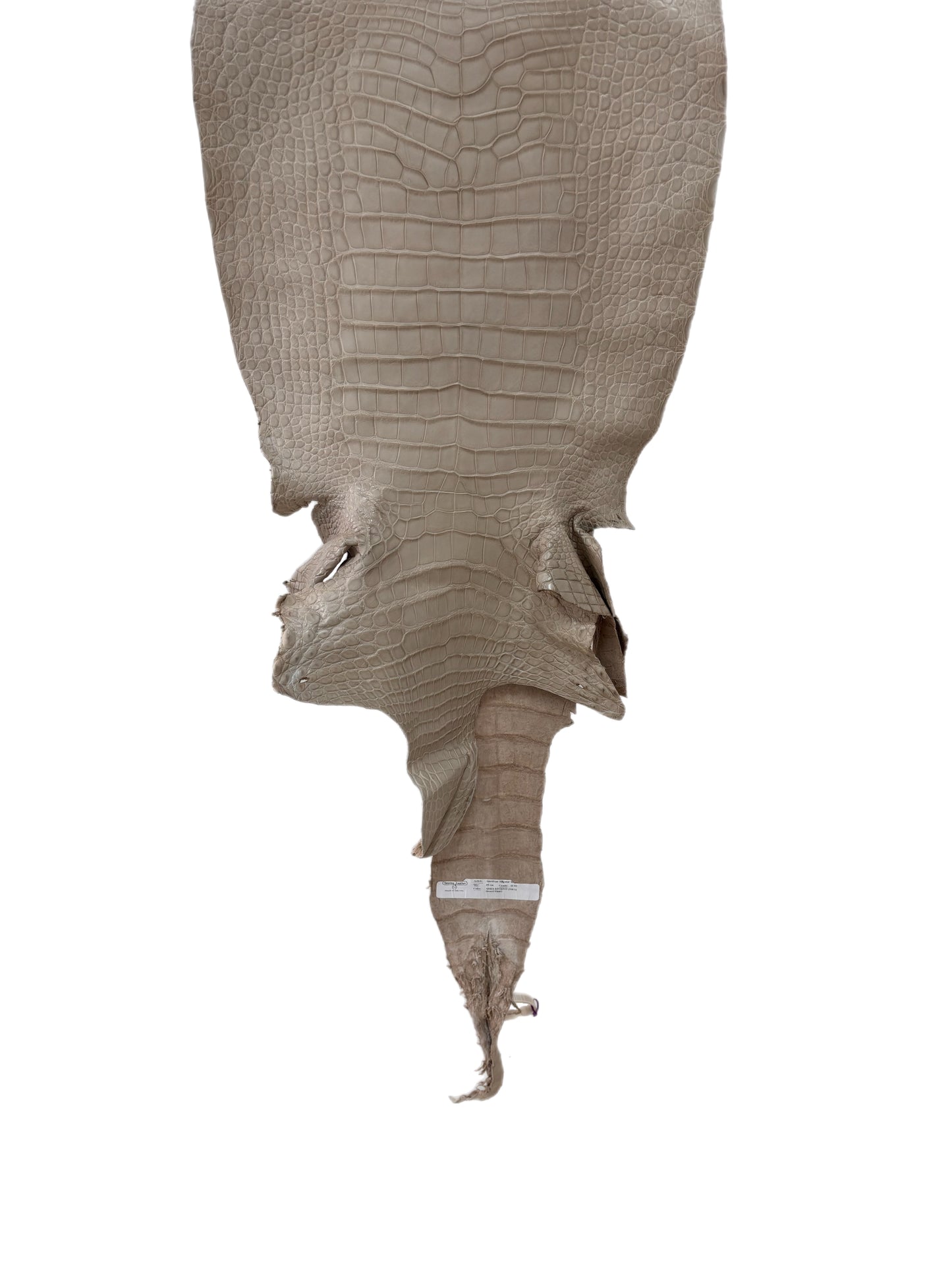 39 cm Grade 2/3 Stormy Matte Wild American Alligator Leather - Tag: LA23-0029512