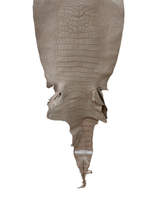 39 cm Grade 2/3 Stormy Matte Wild American Alligator Leather - Tag: LA23-0029512