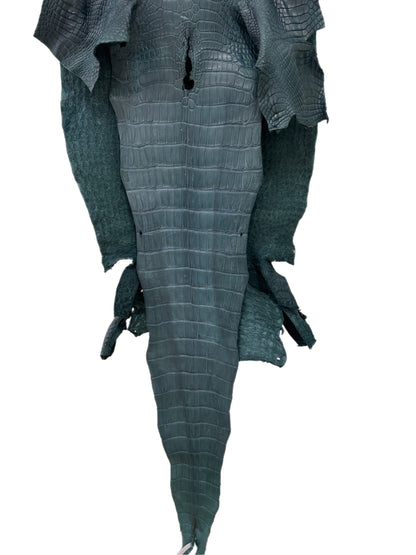 46 cm Grade 2/3 Teal Matte Wild American Alligator Leather - Tag: LA23-0024035