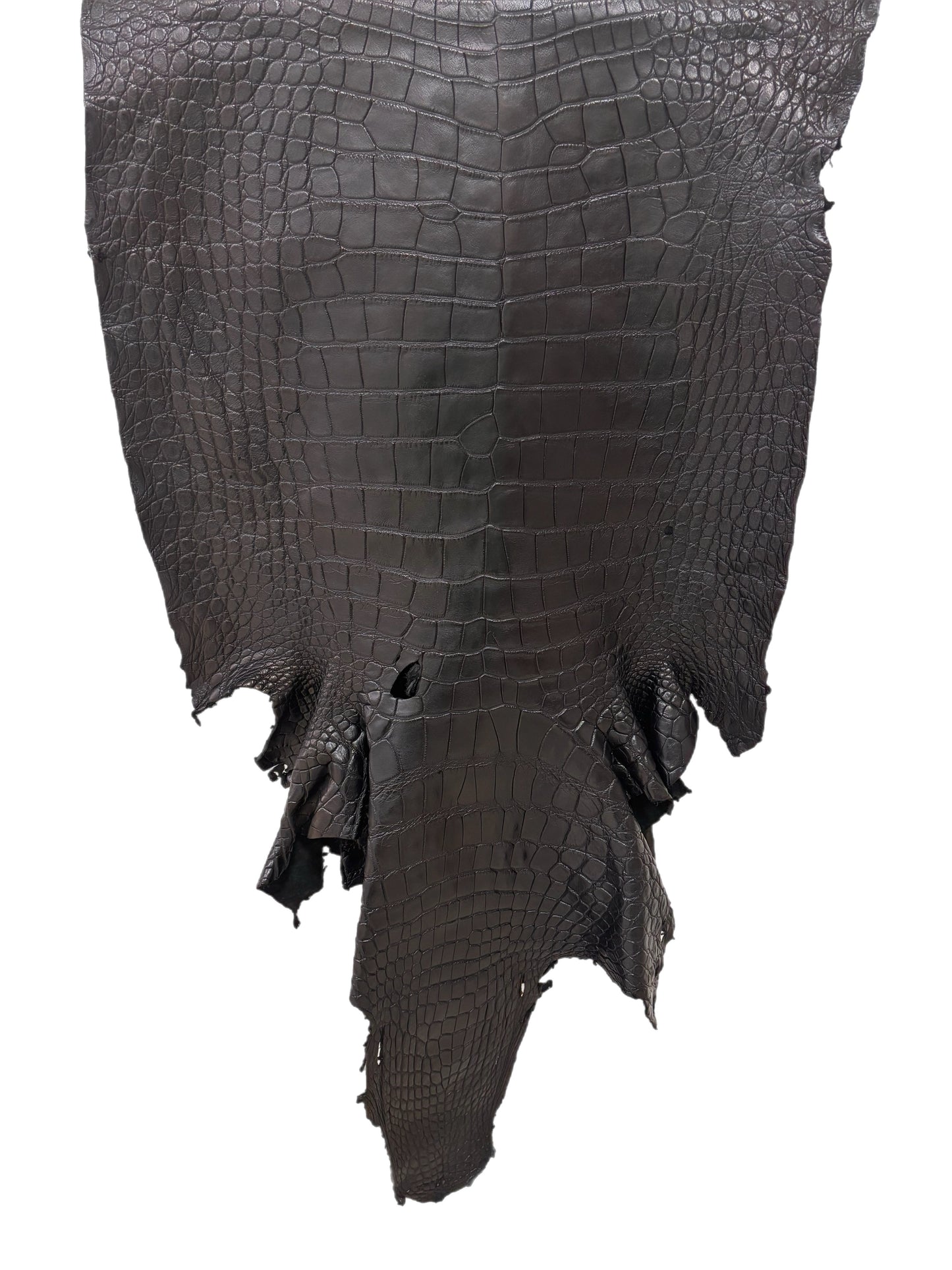 67 cm Grade 2/3 Black Matte Wild American Alligator Leather - Tag: FL24-0077570