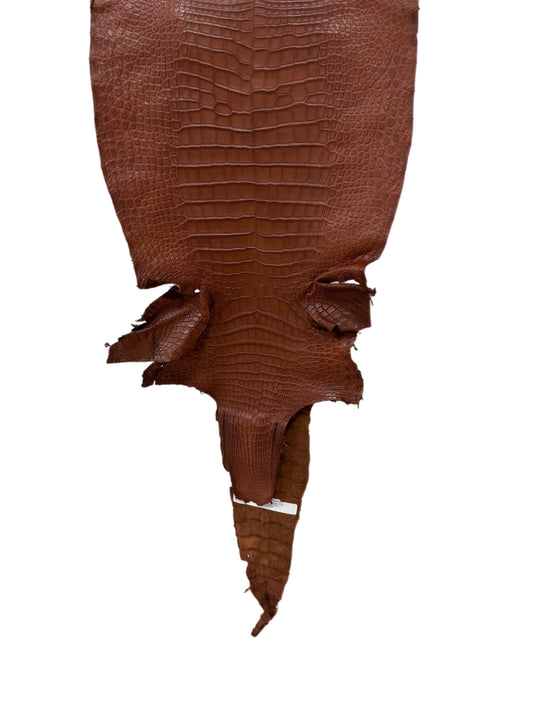 36 cm Grade 2/3 Cigar Desert Wild American Alligator Leather - Tag: LA16-0016672
