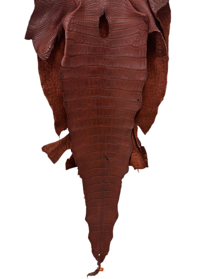 45 cm Grade 2/3 Italian Gold Matte Wild American Alligator Leather - Tag: LA23-0049206