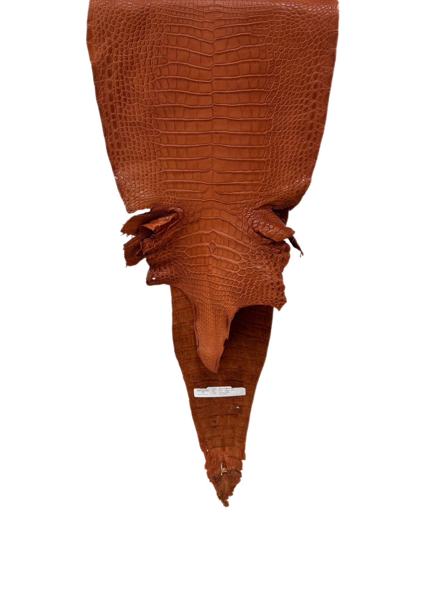 36 cm Grade 2/3 Cognac Matte Farm-Raised American Alligator Leather - Tag: FL17-0052831
