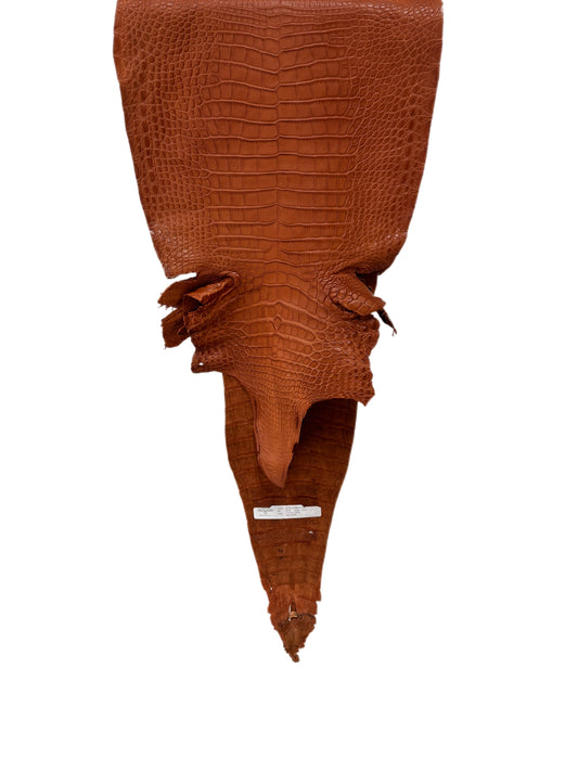 36 cm Grade 2/3 Cognac Matte Farm-Raised American Alligator Leather - Tag: FL17-0052831