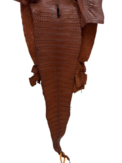 33 cm Grade 2/3 Rodeo Matte Farm-Raised American Alligator Leather - Tag: FL17-0036098