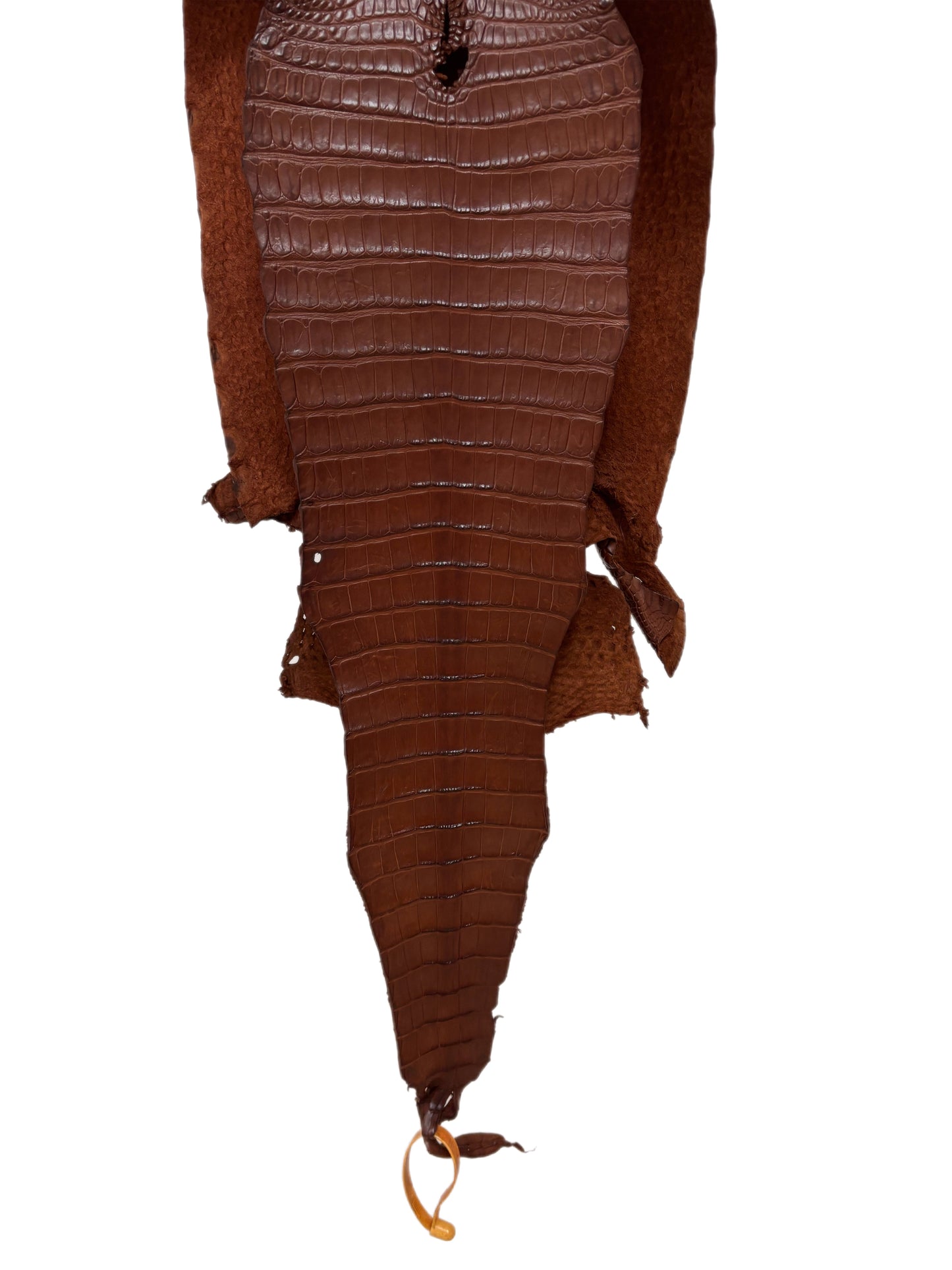 28 cm Grade 2/3 Rodeo Matte Farm-Raised American Alligator Leather - Tag: FL17-0036972
