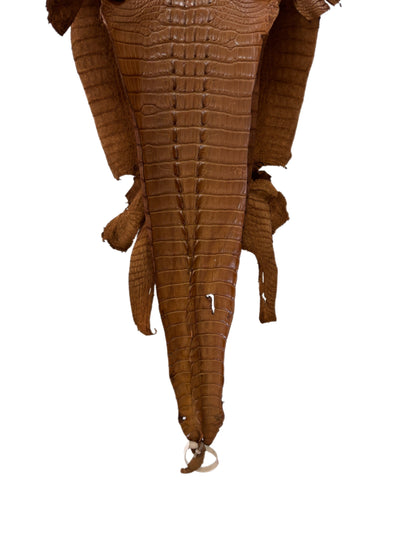 34 cm Grade 1/2 Kango Tabac Matte Farm-Raised American Alligator Leather - Tag: LA23-0377187