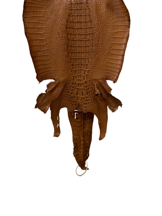 34 cm Grade 1/2 Kango Tabac Matte Farm-Raised American Alligator Leather - Tag: LA23-0377187