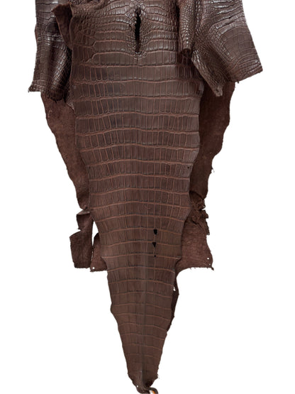 47 cm Grade 3/4 Chocolate Matte Wild American Alligator Leather - Tag: LA23-0001983