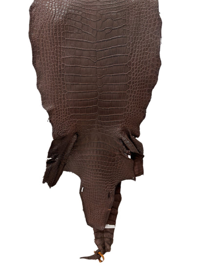 47 cm Grade 3/4 Chocolate Matte Wild American Alligator Leather - Tag: LA23-0001983