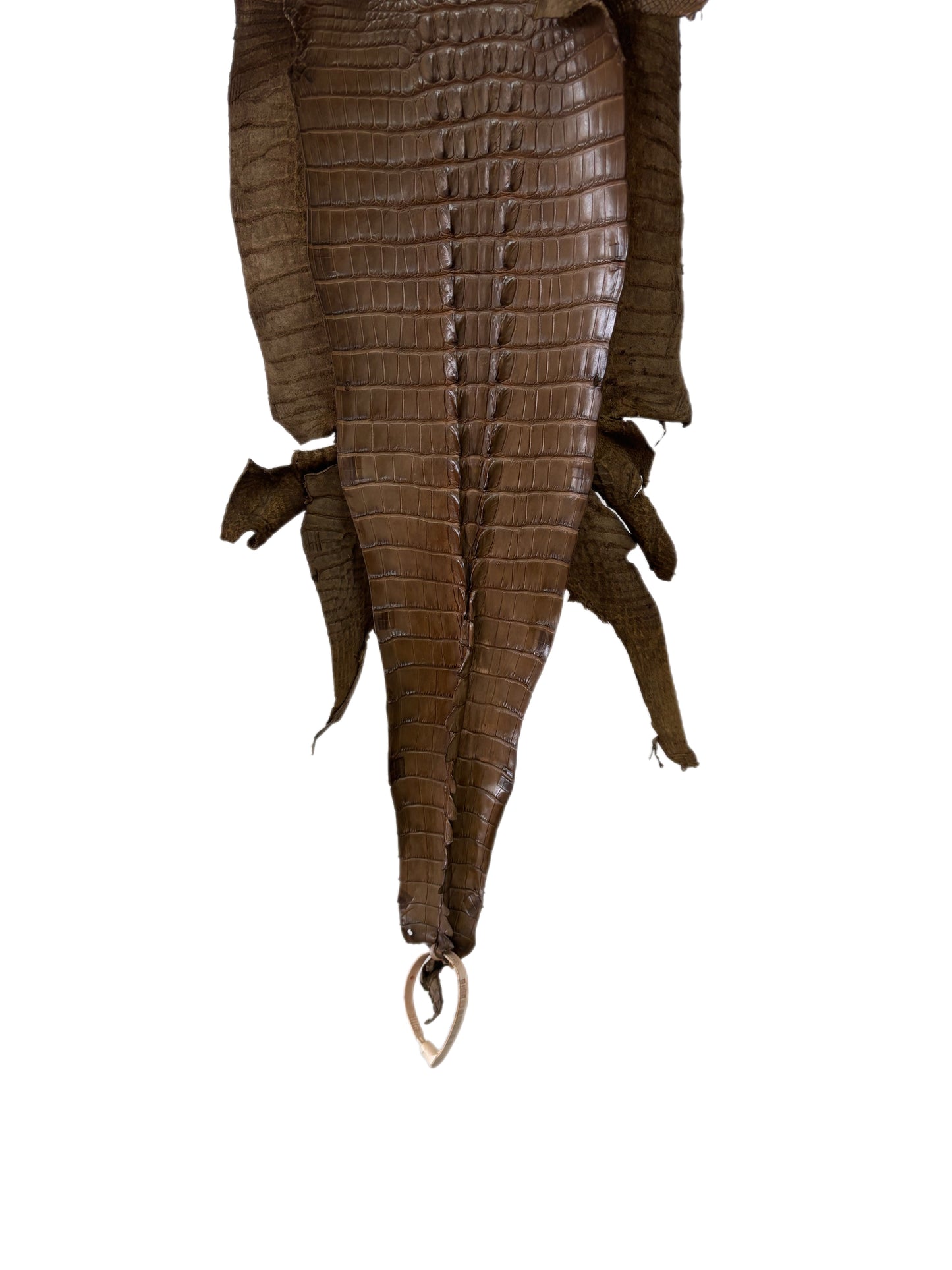 31 cm Grade 1/2 Mink Matte Farm-Raised American Alligator Hornback Leather - Tag: LA23-0377160
