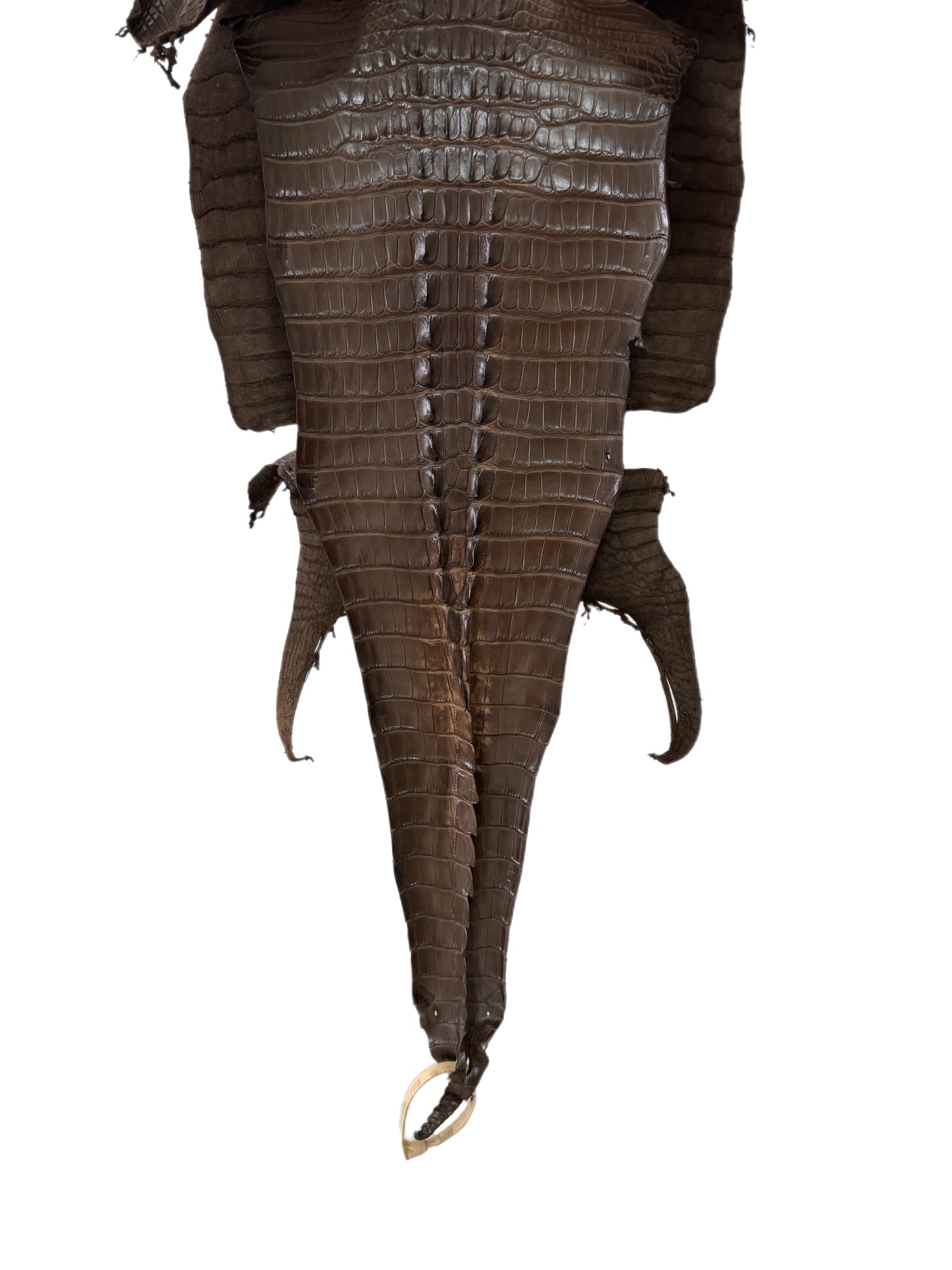 35 cm Grade 1/2 Nicotine Matte Farm-Raised American Alligator Leather - Tag: LA23-0377137
