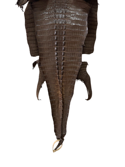 35 cm Grade 1/2 Nicotine Matte Farm-Raised American Alligator Leather - Tag: LA23-0377137