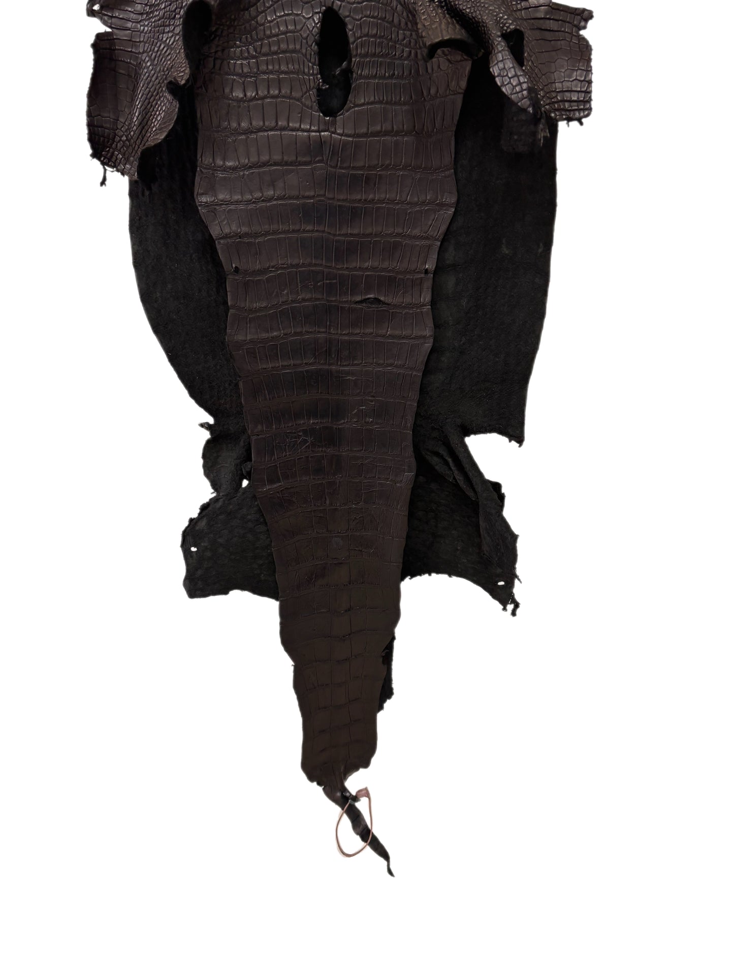 41 cm Grade 3/4 Black Matte Wild American Alligator Leather - Tag: LA24-0022561