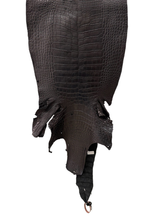 39 cm Grade 3/4 Black Matte Wild American Alligator Leather - Tag: LA24-0011628