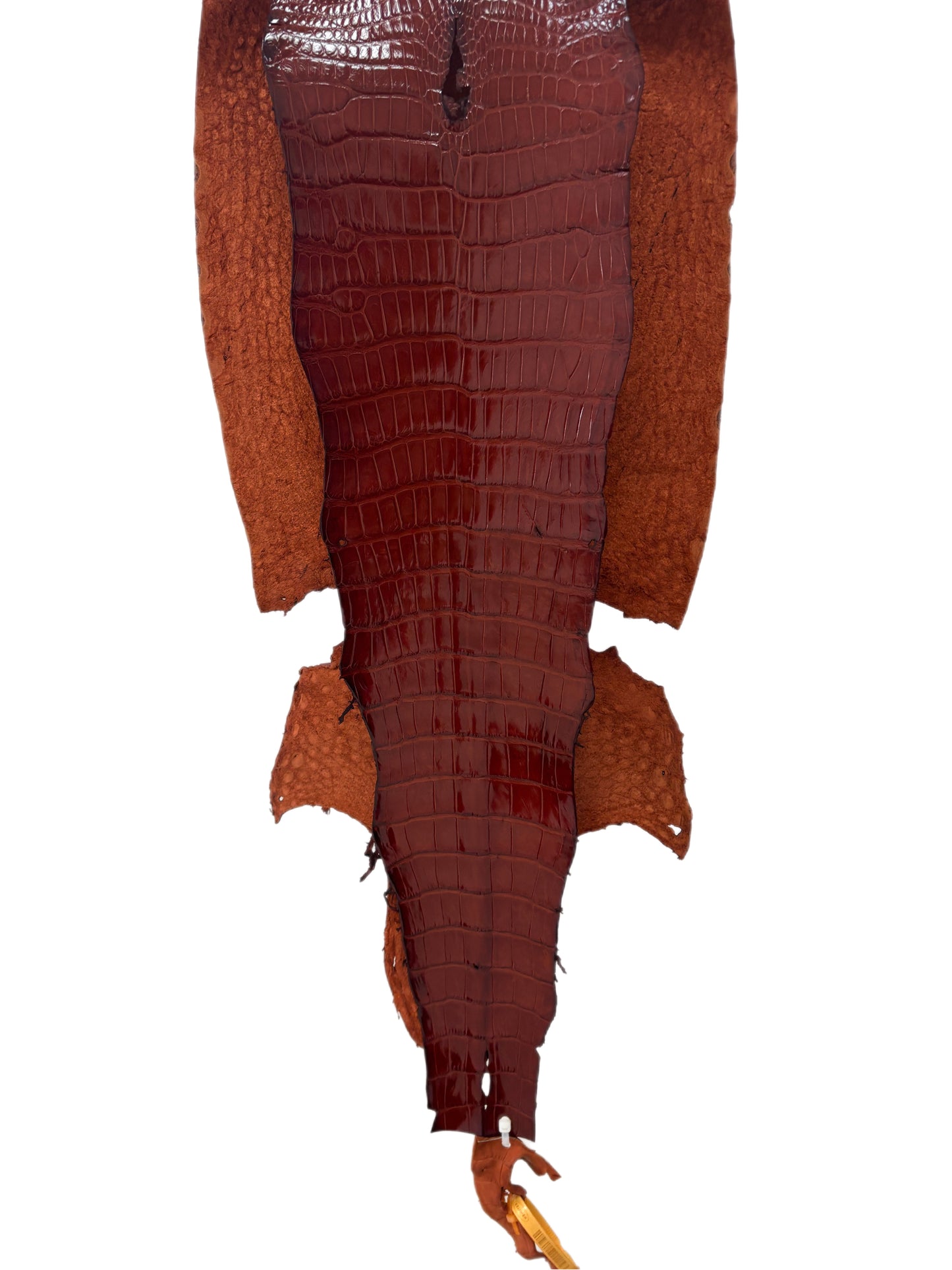 32 cm Grade 2/3 Peanut Millennium Wild American Alligator Leather - Tag: LA23-0033868