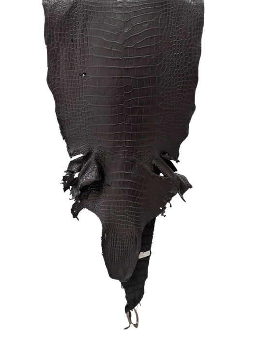 38 cm Grade 3/4 Black Matte Wild American Alligator Leather - Tag: LA23-0001247