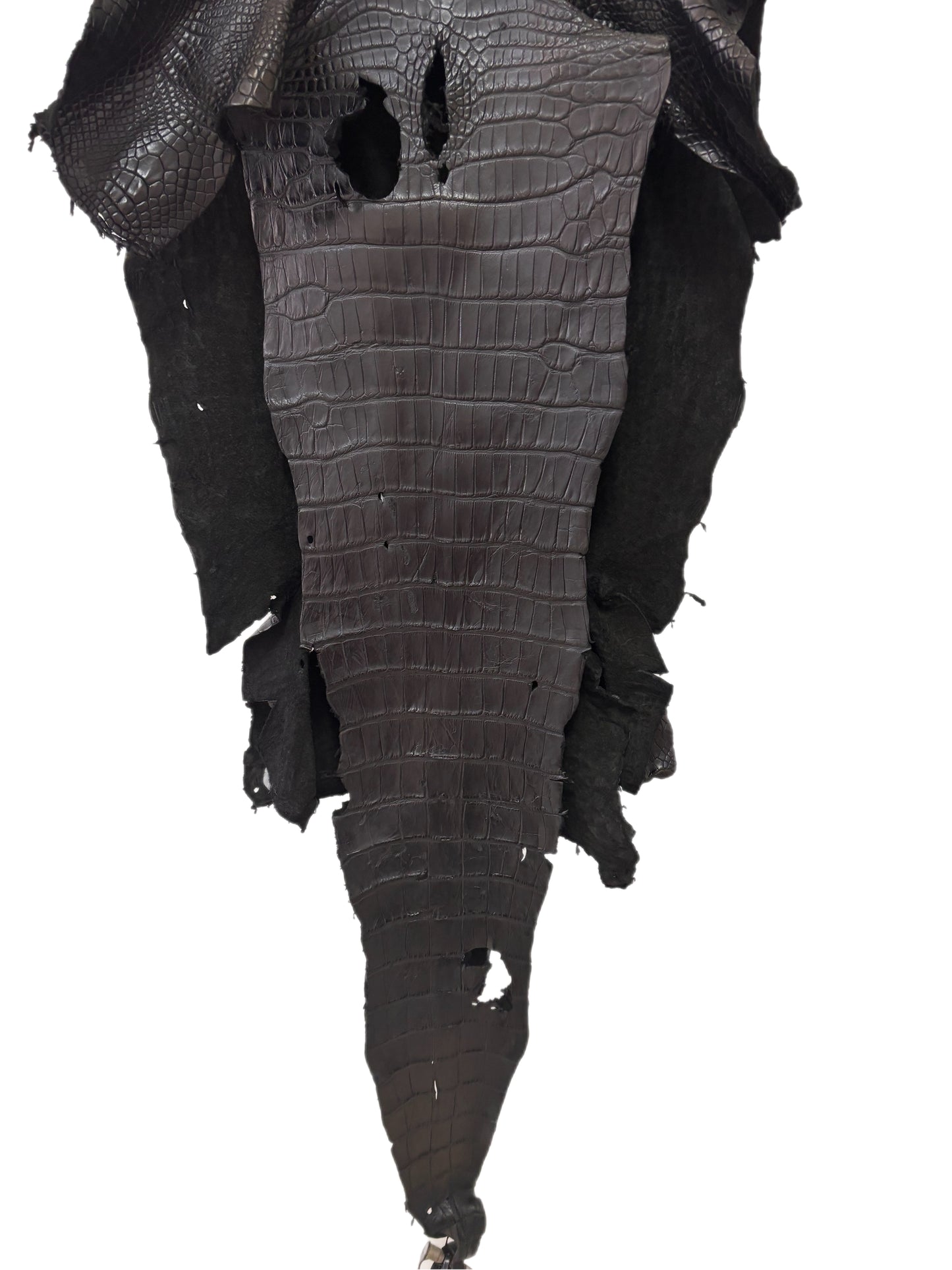 39 cm Grade 3/4 Black Matte Wild American Alligator Leather - Tag: LA23-0003623
