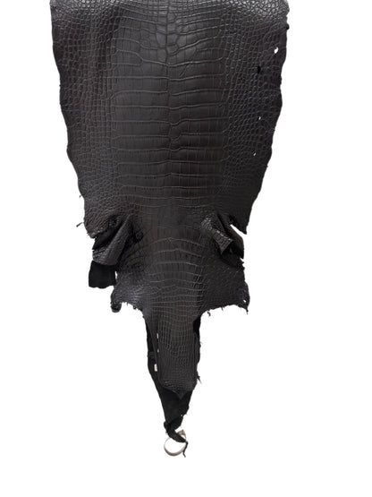 39 cm Grade 3/4 Black Matte Wild American Alligator Leather - Tag: LA23-0003623