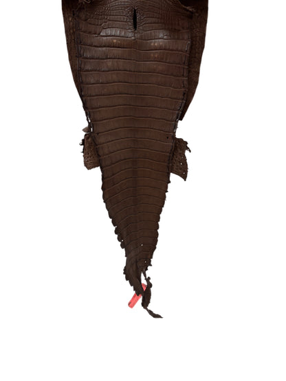 25 cm Grade 1/2 Nicotine Matte Farm-Raised American Alligator Leather - Tag: FL21-0024513