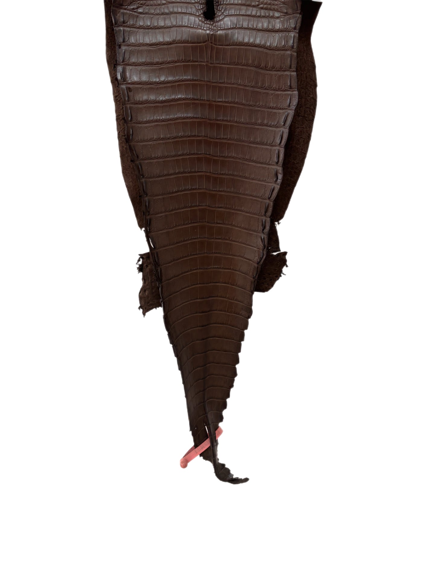 26 cm Grade 1/2 Nicotine Matte Farm-Raised American Alligator Leather - Tag: FL21-0024683