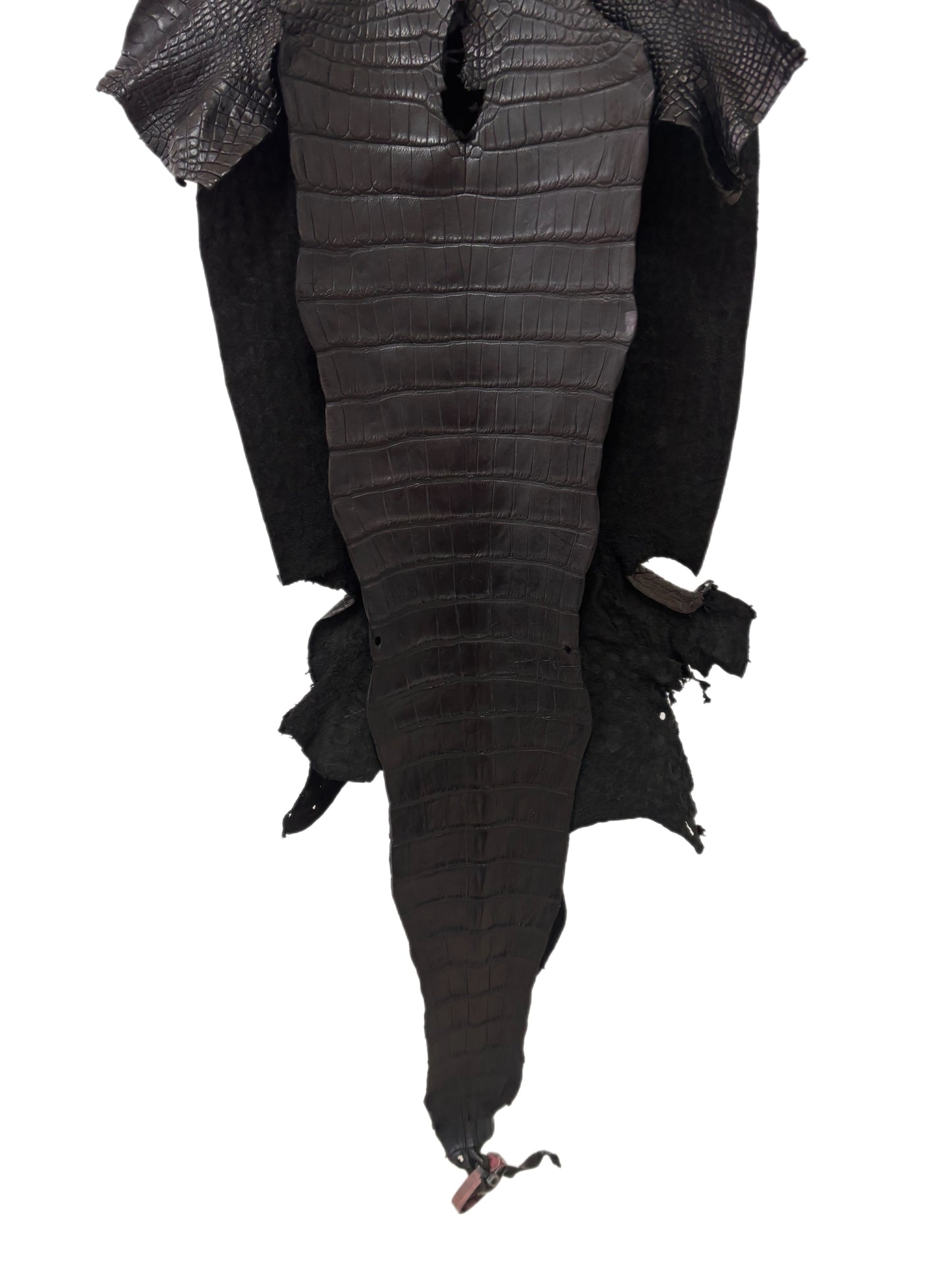 36 cm Grade 3/4 Black Matte Wild American Alligator Leather - Tag: FL24-0077537