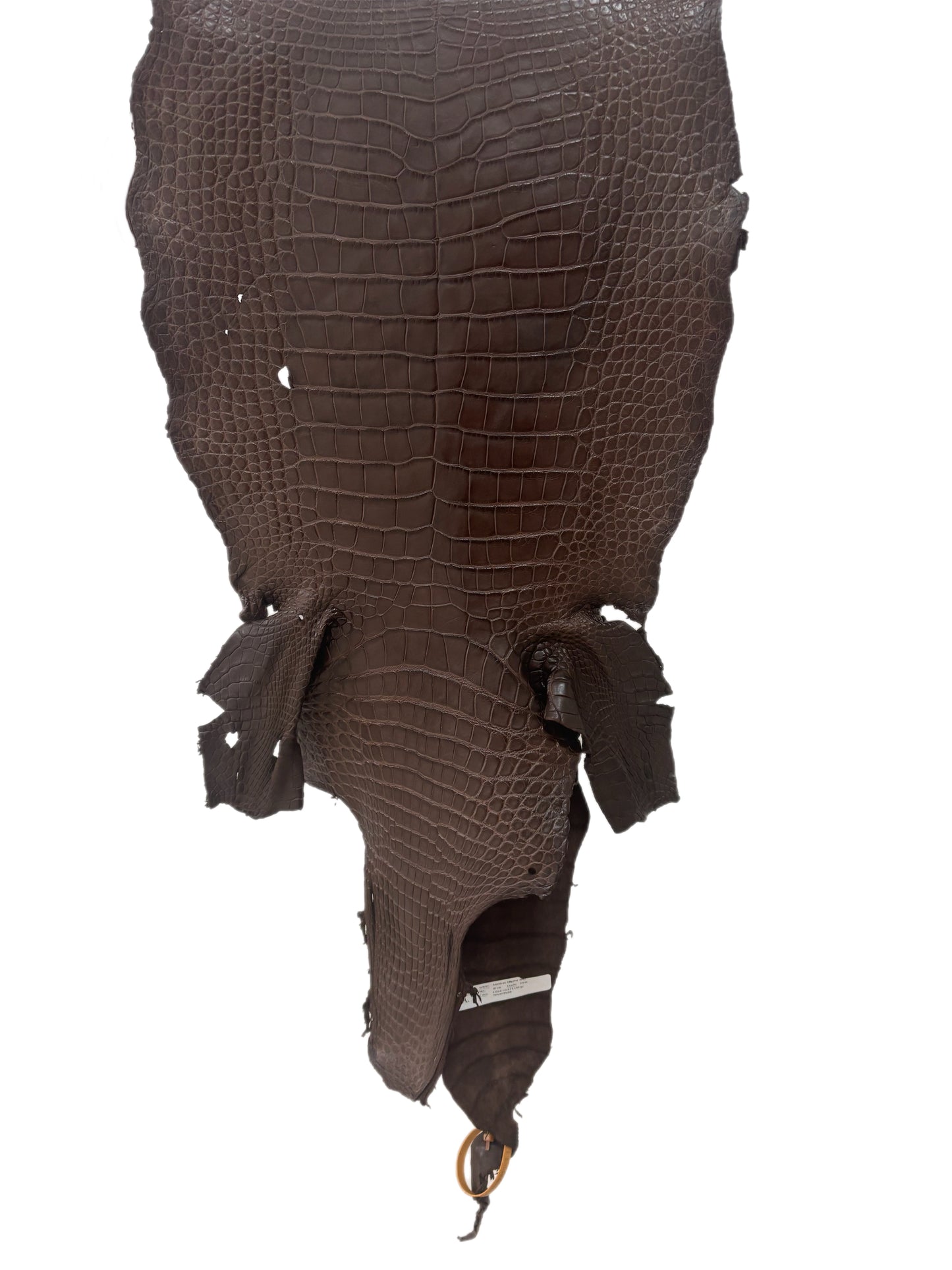 40 cm Grade 3/4 Chocolate Matte Wild American Alligator Leather - Tag: LA23-0003296